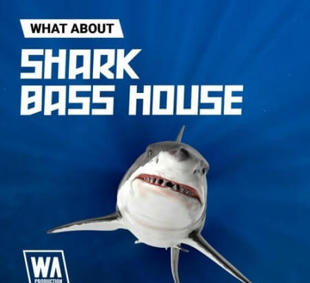 WA Production Shark Bass House WAV MiDi Synth Presets